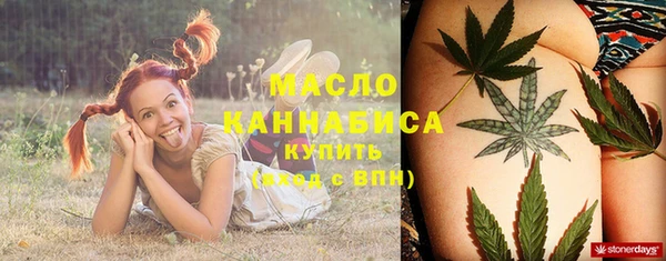 индика Абдулино