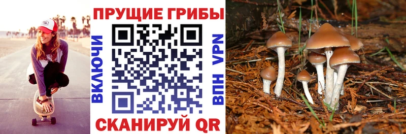 Галлюциногенные грибы мицелий  гидра зеркало  Тбилисская 