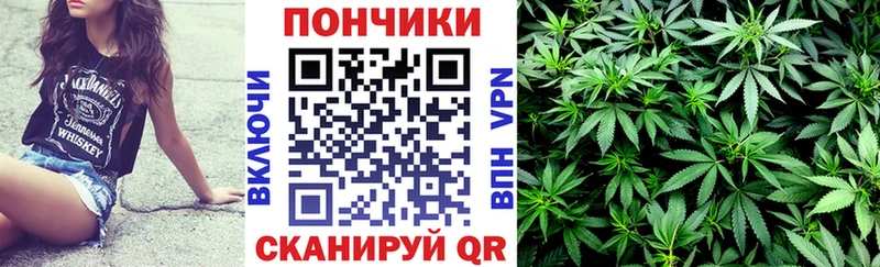 Шишки марихуана планчик  хочу наркоту  mega онион  Тбилисская 